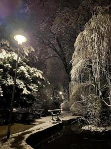a park at night with a bench and a street light at Ferienwohnung 304 am Kasinopark in Georgsmarienhütte +8 photos