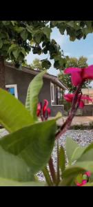 a plant with pink flowers in front of a house at Mindyourbusiness villa in Abuja
