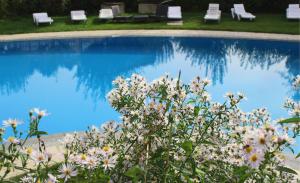 uma piscina com cadeiras brancas e flores ao lado em Quinta Do Crestelo Aparthotel em Seia
