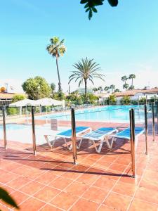 a swimming pool with two lounge chairs and palm trees at Oasis Beach Holiday Home with jacuzzi in Playa del Ingles