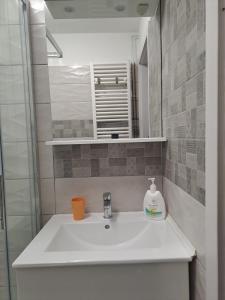 Koupelna v ubytování Apartment Marijana