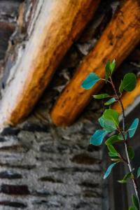 dois pedaços de madeira numa parede de pedra com uma planta em Los Castaños, Vivienda Rural, Capileira em Capileira