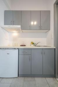 Кухня или кухненски бокс в Luxury Naxos Apartment | Deluxe Triple Studio | 150m From St. George Beach | City Center | Saint George