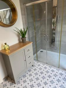 a bathroom with a shower and a vanity with a mirror at The Ranch in Leitrim