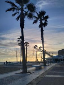 eine Gruppe von Palmen am Strand in der Unterkunft La Cabaña de la Antilla II in La Antilla