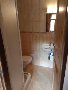 a bathroom with a toilet and a sink at Penzion U Bušů in Malá Bystřice