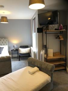 倫敦的住宿－Chic and Modern Studio in King's Cross，带沙发和电视的客厅