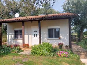 Zahrada ubytování Apartment Marijana