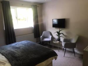 um quarto com uma cama e 2 cadeiras e uma televisão em Rooms & Camping Pods at Colliford Tavern em Bodmin