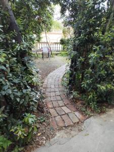 a brick path in a garden between two trees at Garden in the center in Split