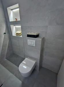 ein Badezimmer mit weißer Toilette und Waschbecken in der Unterkunft Luxury apartment Povlja in Povlja