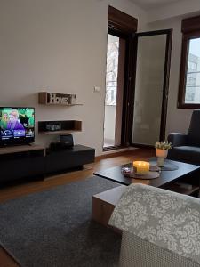 un soggiorno con un divano e una TV di Zemun residence a Novi Grad
