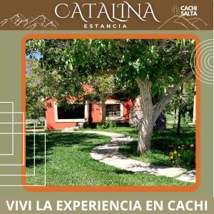 une couverture de livres d'un jardin avec un arbre dans l'établissement La Catalina, à Cachí