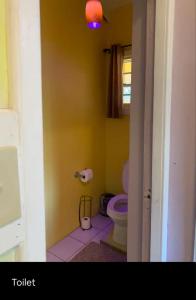 een badkamer met een toilet en een roze tegelvloer bij Rest and Relax STX in Christiansted