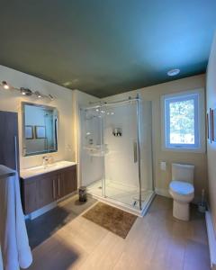 a bathroom with a shower and a toilet and a sink at La Bellecôte - Relaxation in nature and spa in Petite-Rivière-Saint-François