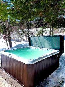 a hot tub in the snow next to a tree at La Bellecôte - Relaxation in nature and spa in Petite-Rivière-Saint-François