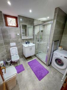 a bathroom with a sink toilet and a shower at or'o apartments in Žabljak
