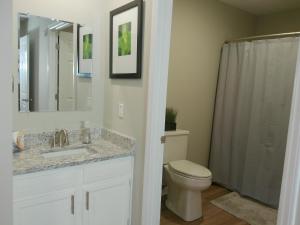ein Badezimmer mit Waschbecken, Toilette und Dusche in der Unterkunft Studio 415 Spring Lake - Fayetteville near Fort Bragg - Ground Level Studio with Self Check-in - Perfect for short or long-term stays in Spring Lake + 28 Fotos