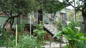 ein Haus mit einer Treppe im Garten in der Unterkunft Eleven Guest House in Kutaissi