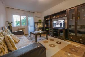 a living room with a couch and a tv at Közel a strandhoz apartman in Eger