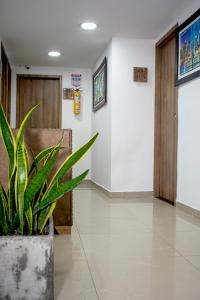 a hospital hallway with a potted plant in front of a door at Hotel Los Angeles in Calarcá +12 photos