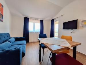 TV a/nebo společenská místnost v ubytování Apartments Dijana