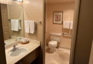 ein Badezimmer mit einem Waschbecken, einem WC und einem Spiegel in der Unterkunft Hardman House in Carson City