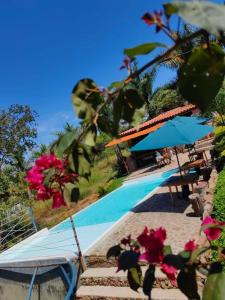 a pool with blue umbrellas and pink flowers at Villas del bambú in San Gil