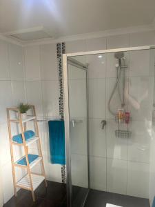 a shower with a ladder and a glass shower stall at Queen of the Desert Villa in Alice Springs