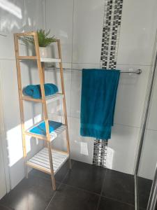 een ladder in een douche met twee blauwe handdoeken bij Queen of the Desert Villa in Alice Springs