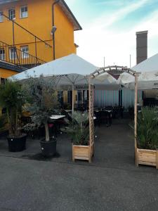 a patio with tables and umbrellas and potted plants at Gasthof Stern Asteri in Frickenhausen