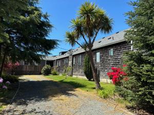 a house with a palm tree in front of it at San Dune Inn in Manzanita