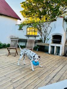 Fotografie z fotogalerie ubytování Sydkustens at Tullnäs Vingård v destinaci Klagstorp
