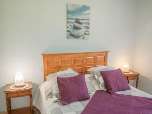1 Schlafzimmer mit 2 Betten und lila Kissen in der Unterkunft Villa Nycou in Bagnols-en-Forêt