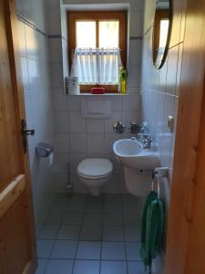 La petite salle de bains est pourvue de toilettes et d'un lavabo. dans l'établissement Ferienwohnung Wiesenleiten, à Ruhpolding