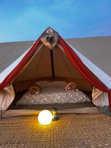 ein Zelt mit zwei Katzen, die auf einem Bett schlafen in der Unterkunft Duna Camp Huacachina in Ica