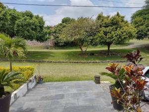 un jardin avec une allée en pierre avec des arbres et de l'herbe dans l'établissement Casa Minimalista Bosques- 3 pisos, à Oaxtepec