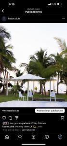 página de un sitio web con dos sillas y palmeras en Kudos club en Las Lajas