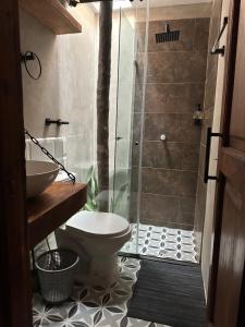 een badkamer met een douche, een toilet en een wastafel bij AptoPardo1945 duplex con Jacuzzi in Mompos