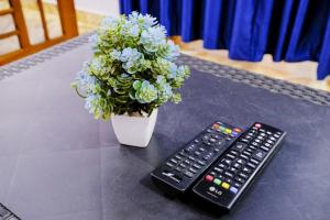 a remote control and a potted plant on a table at OYO Mahamaya Holiday Inn Near Calangute Beach in Calangute