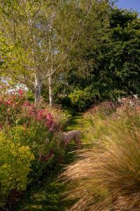 マスタートンにあるRanginui Retreatの花や木、草が彩る庭園