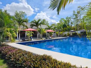 uma piscina num resort com guarda-sóis e palmeiras em OHANA, Panglao Resort. em Panglao City
