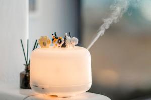 南湾希腊遇见猫的相册照片