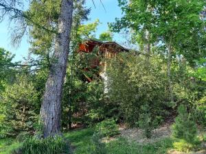 a house that is sitting in the trees at Baumhaus Wolfshöhle in Fischach