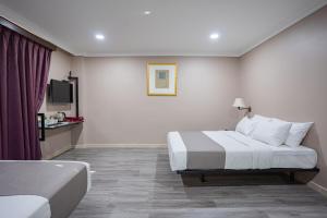 TV a/nebo společenská místnost v ubytování HOTEL 28 RAPID
