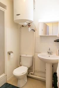 a bathroom with a toilet and a sink at Villeurbanne Centre Appartement Meublé in Villeurbanne