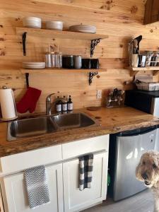 a dog standing in a kitchen with a sink at Hillside Haven 1 Bedroom with Hot Tub in Sussex