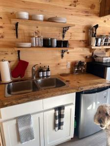 a dog standing in a kitchen with a sink at Hillside Haven 1 Bedroom with Hot Tub in Sussex +70 photos