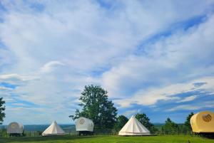 Tres tiendas de campaña en un campo bajo un cielo nublado en Carul cu Stele-Glamping, 