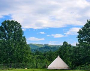 a white tent in a field with trees at Carul cu Stele-Glamping 